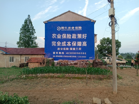 苏州墙体广告为何受追捧？